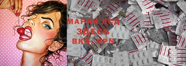 прущие грибы Алексин