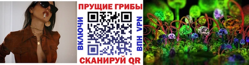 Псилоцибиновые грибы Psilocybe  гидра сайт  Чебоксары 