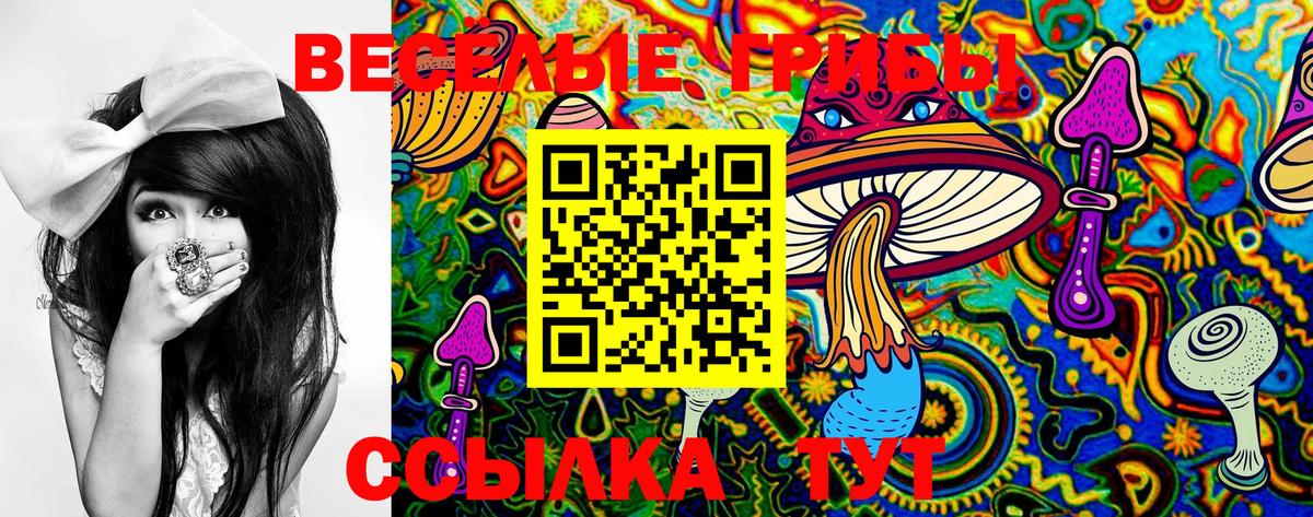 Чебоксары  Галлюциногенные грибы мухоморы  Вход с VPN 